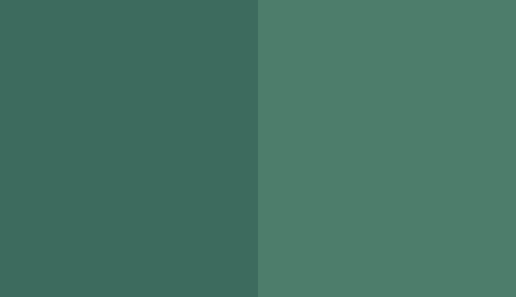 HEX #3D6B5E to RAL 6000