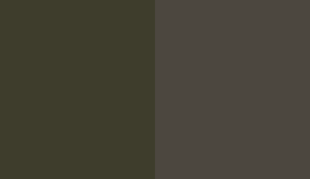 HEX #3E3D2C to RAL 6022 HEX #3E3D2C to RAL 6022