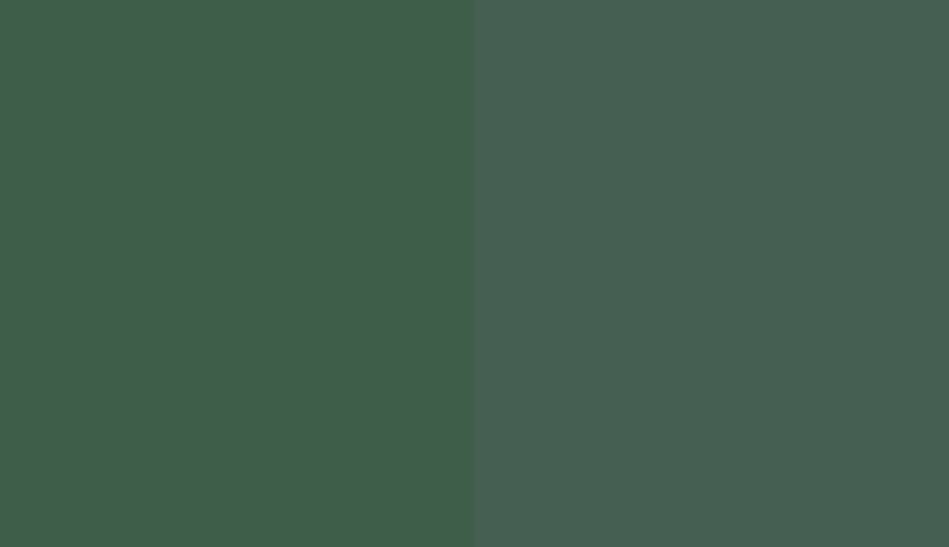 HEX #3E5E49 to RAL 6028