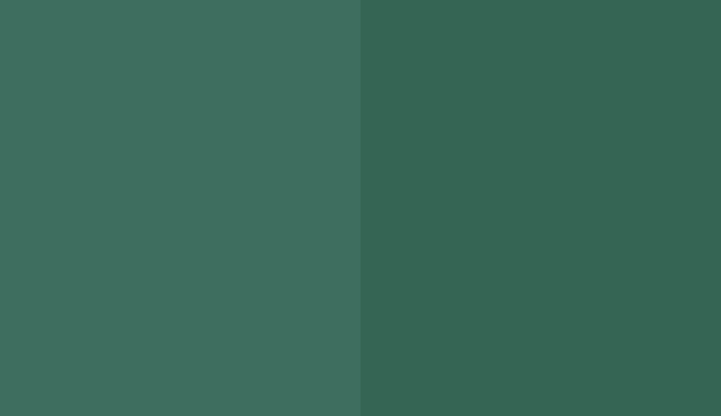 HEX #3E6E5F to RAL 170 40 20 HEX #3E6E5F to RAL 170 40 20
