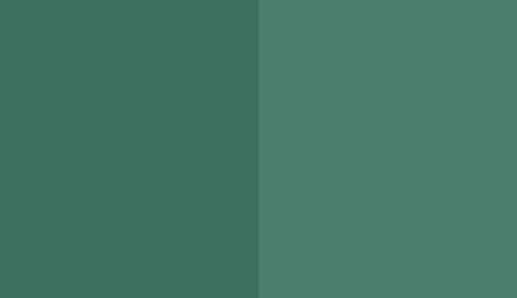 HEX #3E6E5F to RAL 6000 HEX #3E6E5F to RAL 6000