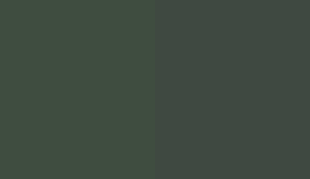 HEX #3F4D40 to RAL 6009