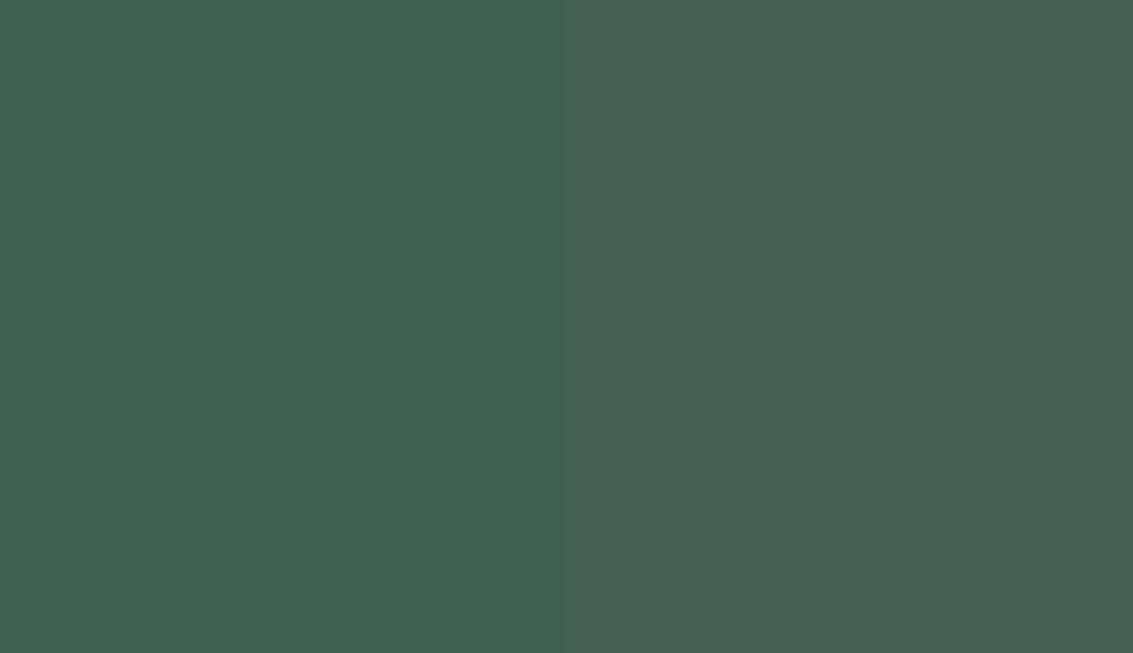 HEX #3F6052 to RAL 6028