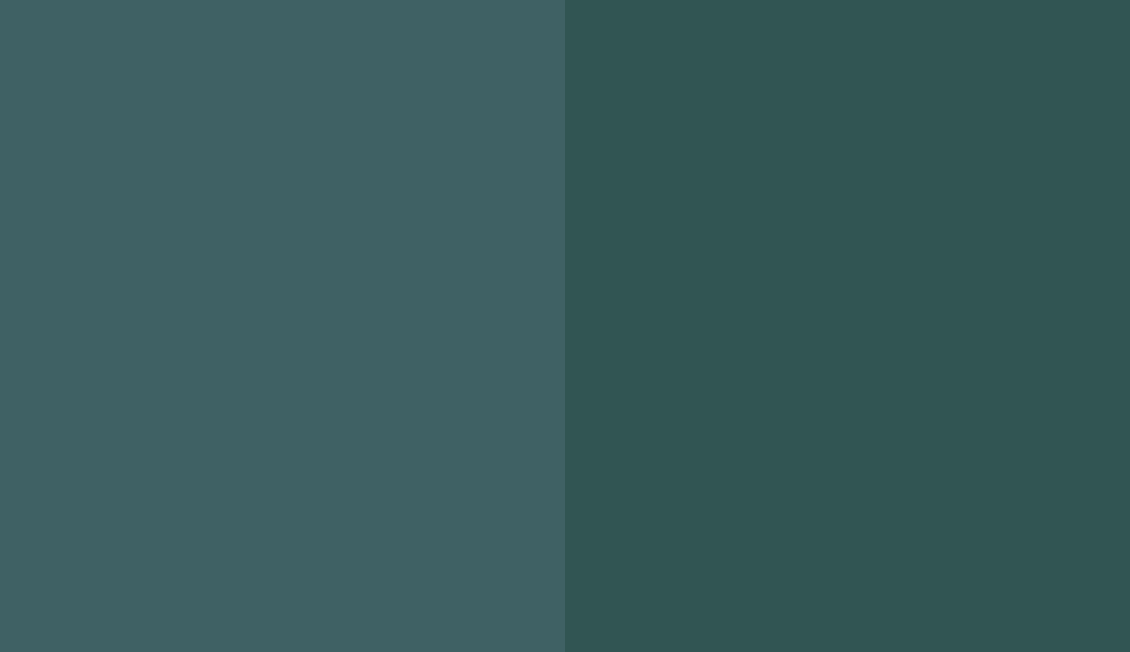 HEX #3F6164 to RAL 6004