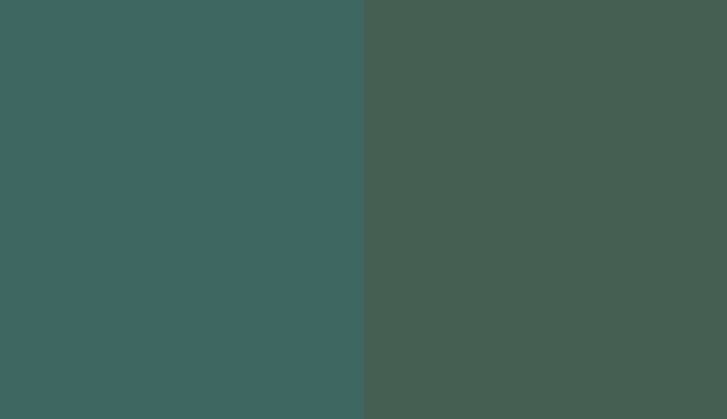 HEX #3F6761 to RAL 6028 HEX #3F6761 to RAL 6028