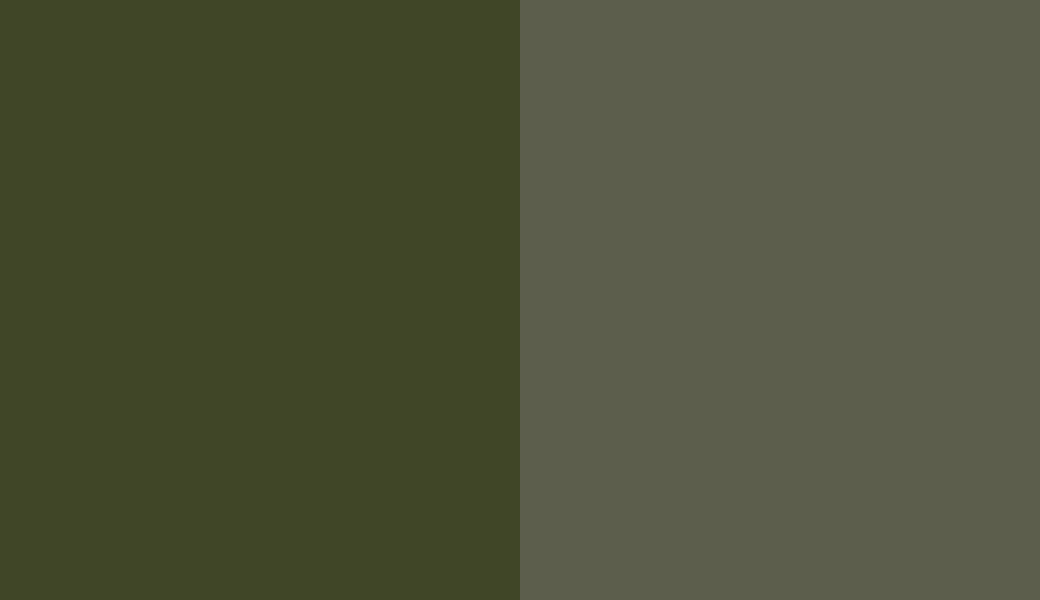 HEX #404627 to RAL 6003