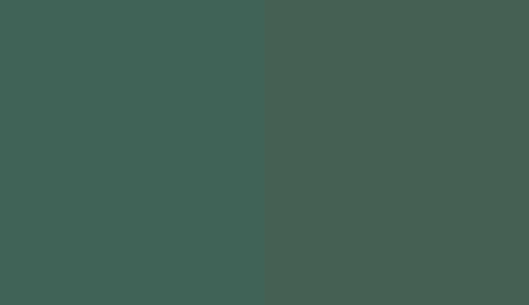 HEX #406357 to RAL 6028