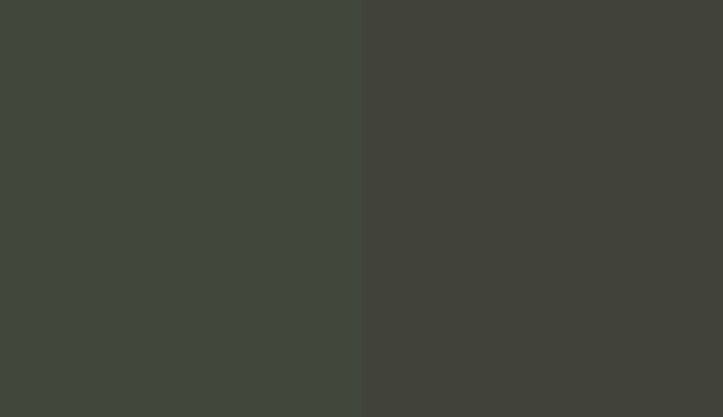 HEX #41473B to RAL 120 30 05