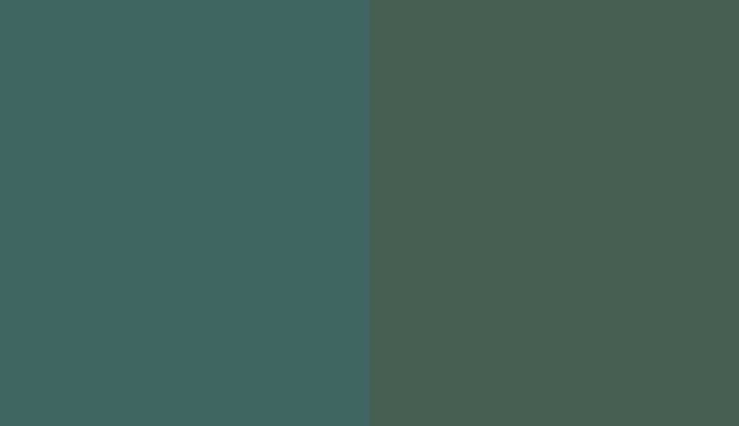 HEX #41665F to RAL 6028 HEX #41665F to RAL 6028