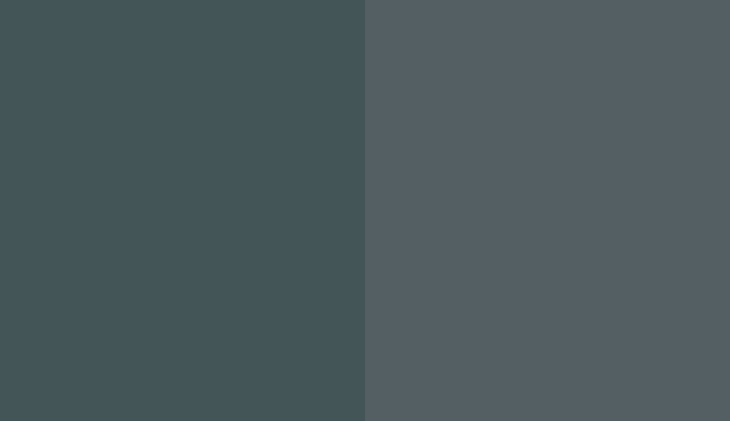 HEX #445557 to RAL 220 40 05 HEX #445557 to RAL 220 40 05