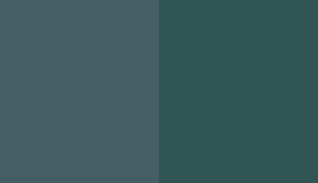 HEX #445E63 to RAL 6004