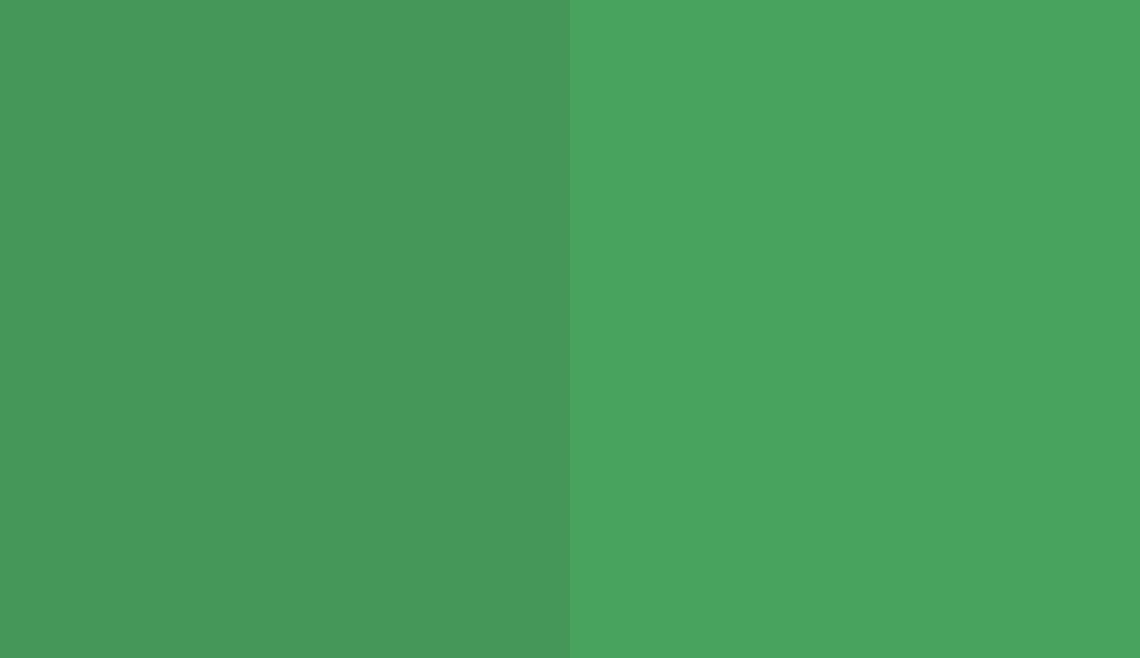 HEX #449658 to RAL 150 60 50 HEX #449658 to RAL 150 60 50