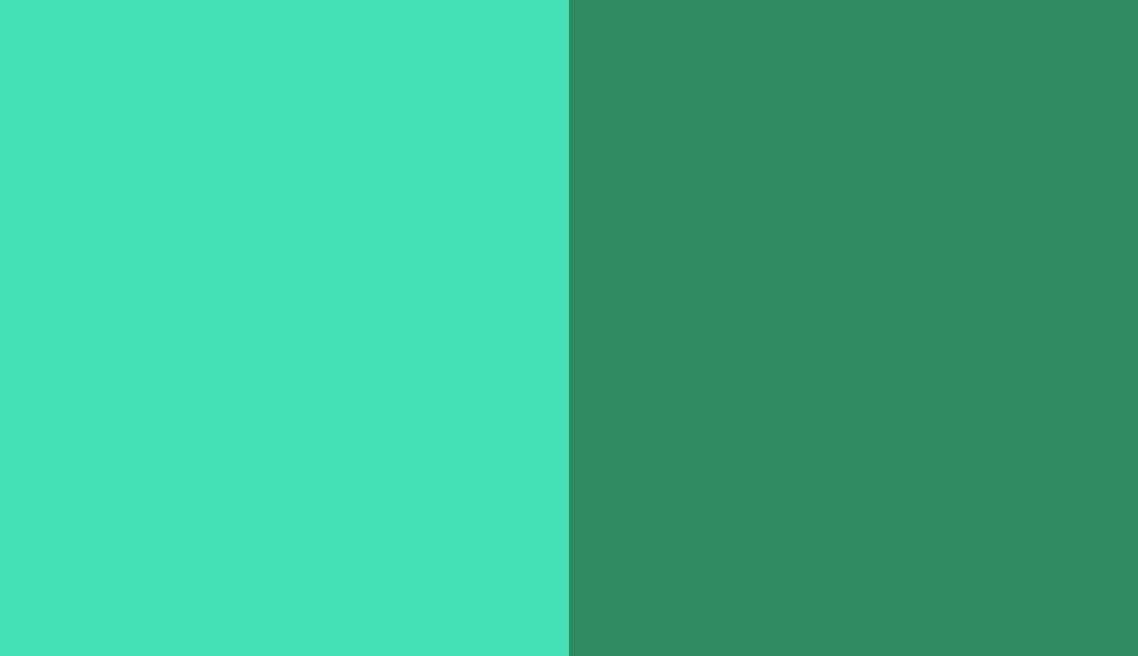 HEX #44E2B5 to RAL 6024