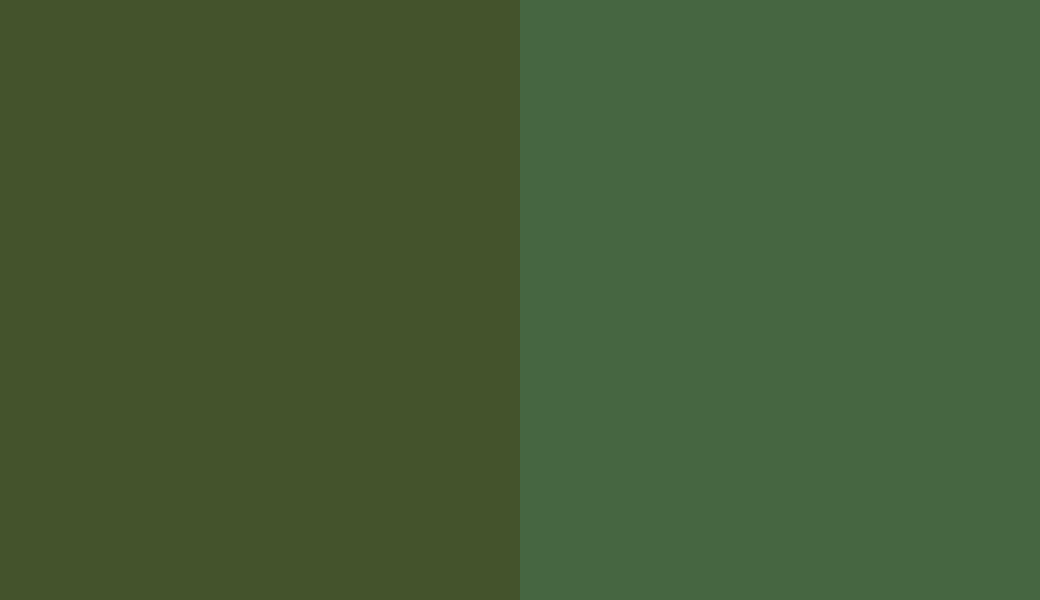 HEX #45532C to RAL 6002