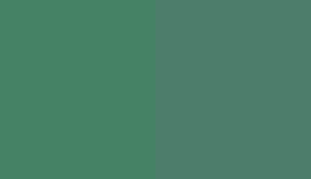 HEX #458265 to RAL 6000 HEX #458265 to RAL 6000