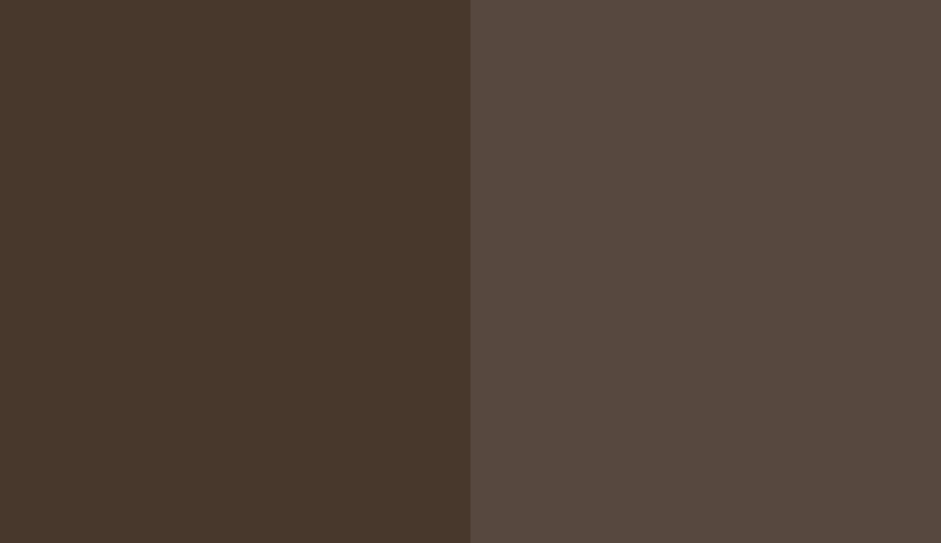 HEX #48382C to RAL 8014