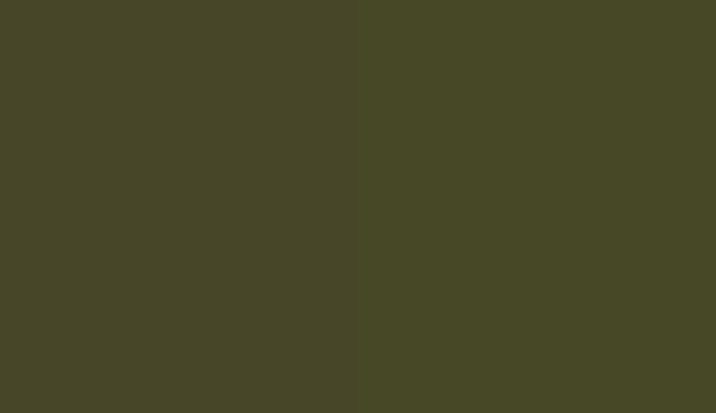 HEX #484628 to RAL 110 30 20