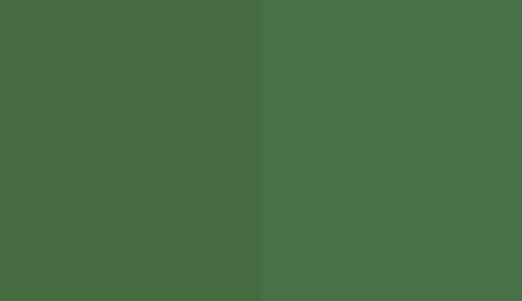 HEX #486C41 to RAL 6001
