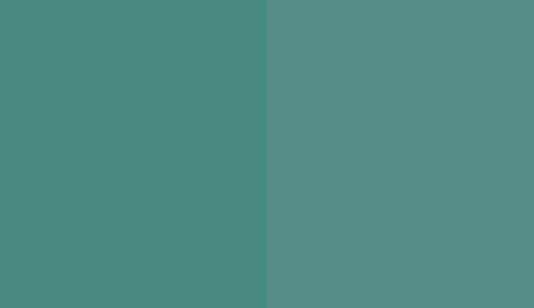 HEX #488982 to RAL 6033