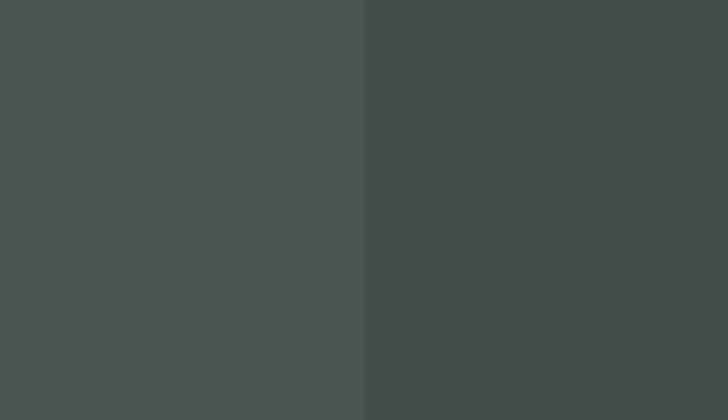 HEX #49534F to RAL 6012
