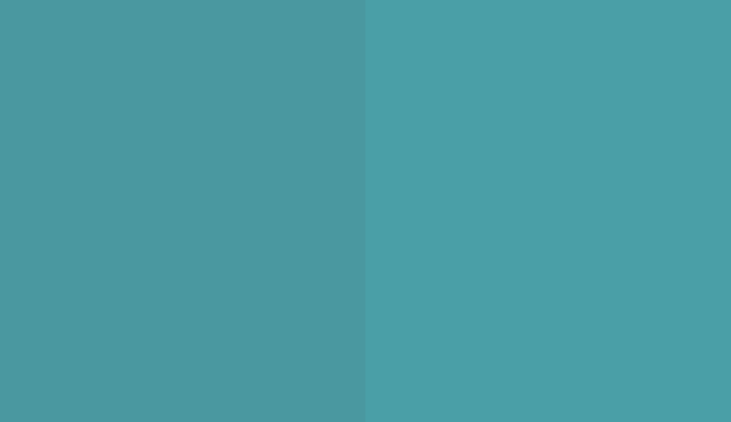 HEX #4A98A0 to RAL 210 60 25 HEX #4A98A0 to RAL 210 60 25