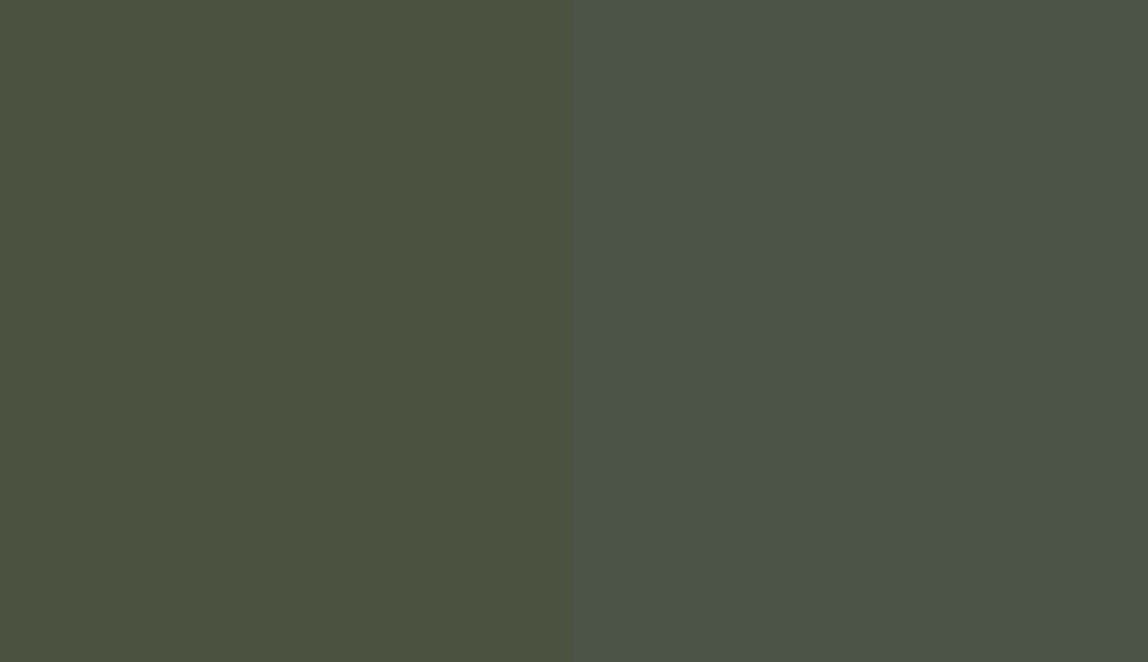 HEX #4B5340 to RAL 6020 HEX #4B5340 to RAL 6020