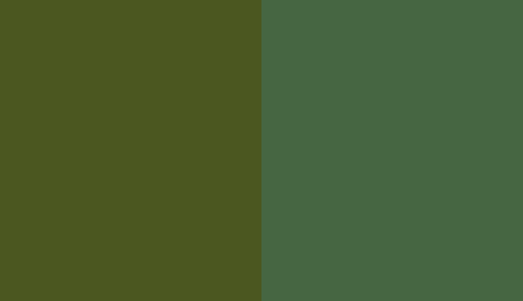 HEX #4B5720 to RAL 6002