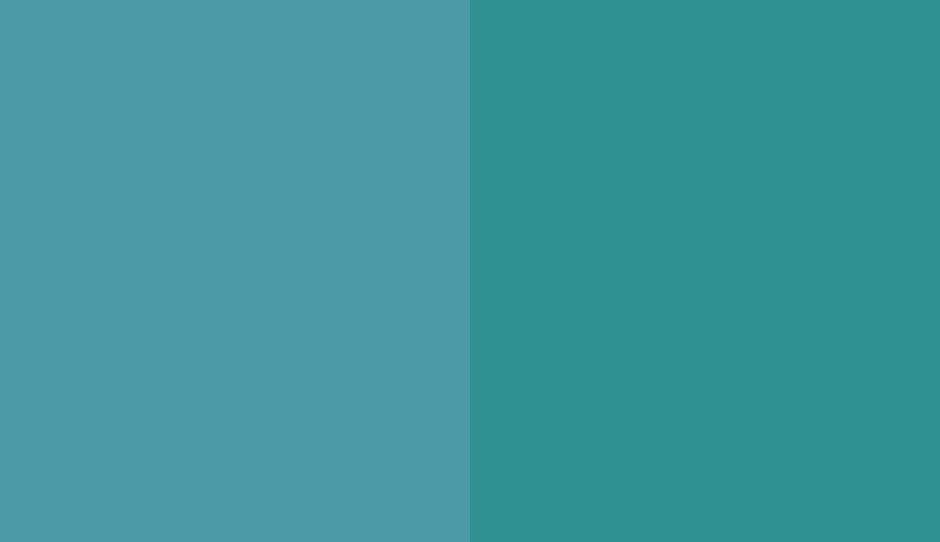 HEX #4B9AA8 to RAL 5018