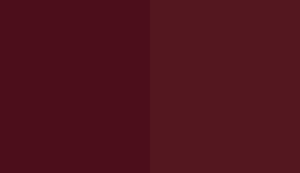 HEX #4C101B to RAL 020 20 29 HEX #4C101B to RAL 020 20 29