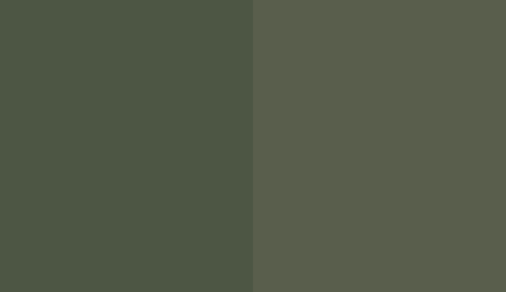 HEX #4D5644 to RAL 120 40 10