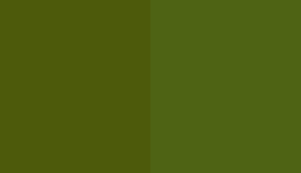HEX #4D5A0B to RAL 120 40 40