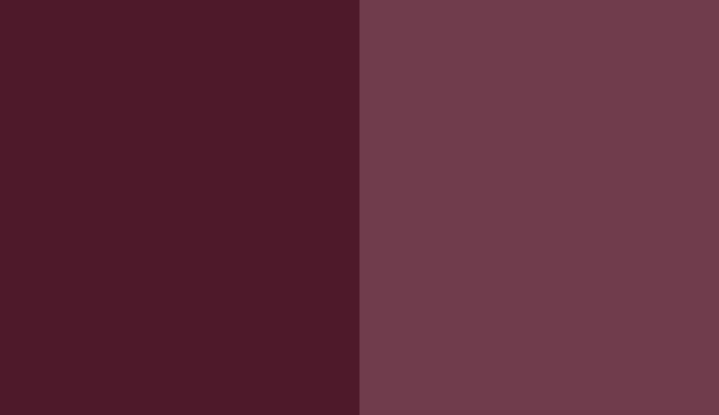 HEX #4E192A to RAL 4004 HEX #4E192A to RAL 4004