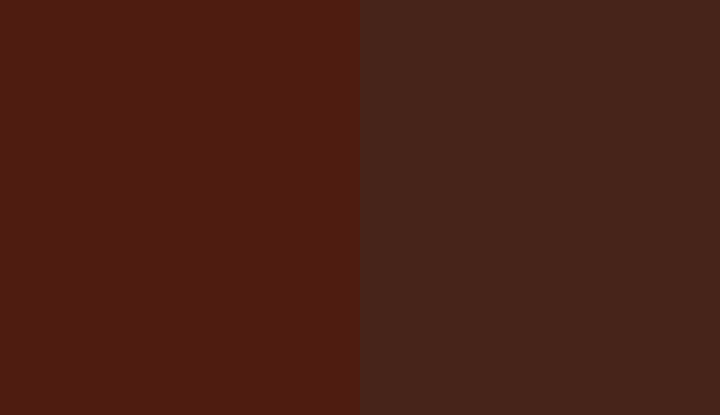 HEX #4E1C10 to RAL 040 20 19 HEX #4E1C10 to RAL 040 20 19