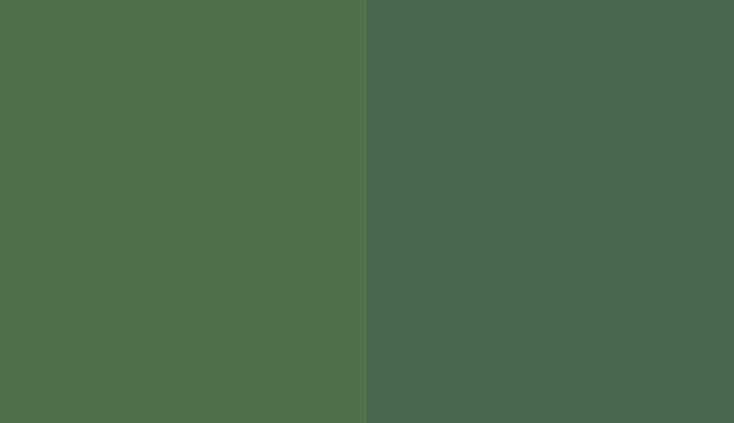 HEX #4E704C to RAL 150 40 20 HEX #4E704C to RAL 150 40 20