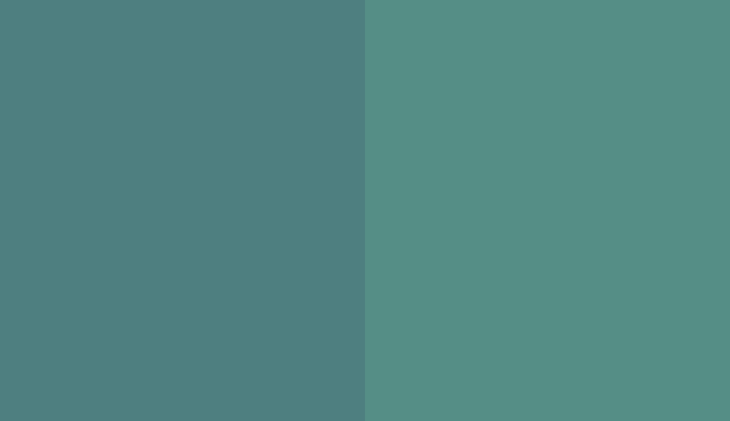 HEX #4E7F80 to RAL 6033