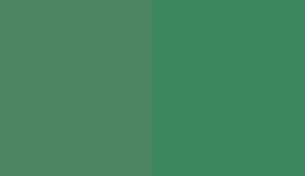 HEX #4E8663 to RAL 6032 HEX #4E8663 to RAL 6032