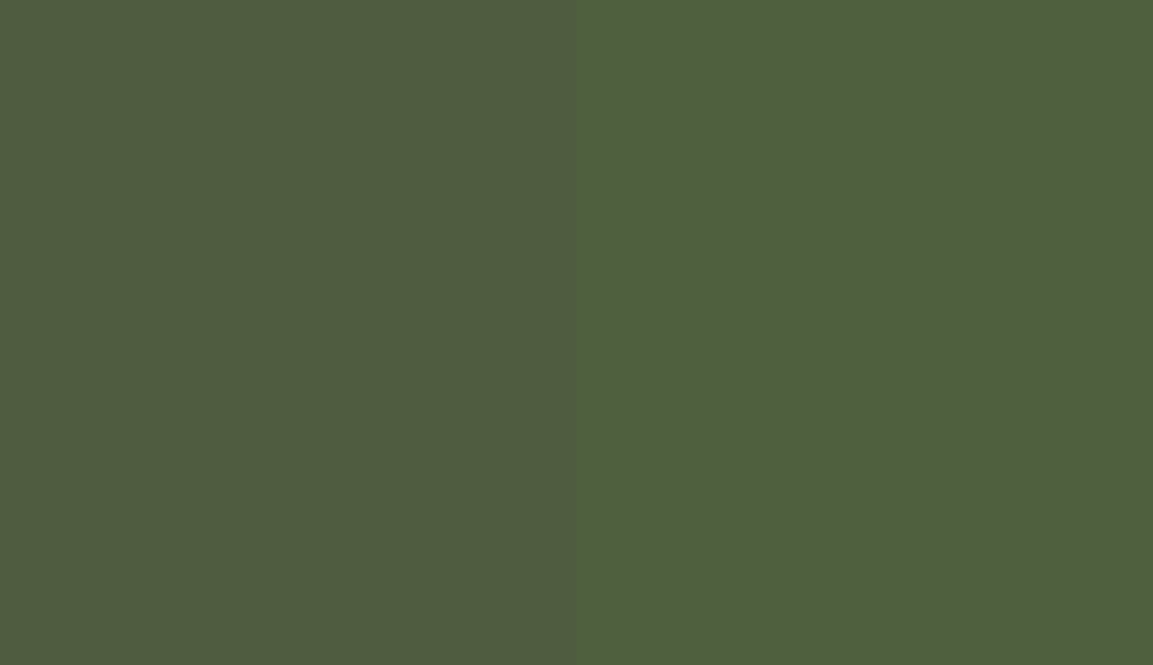 HEX #4F5C40 to RAL 130 40 20