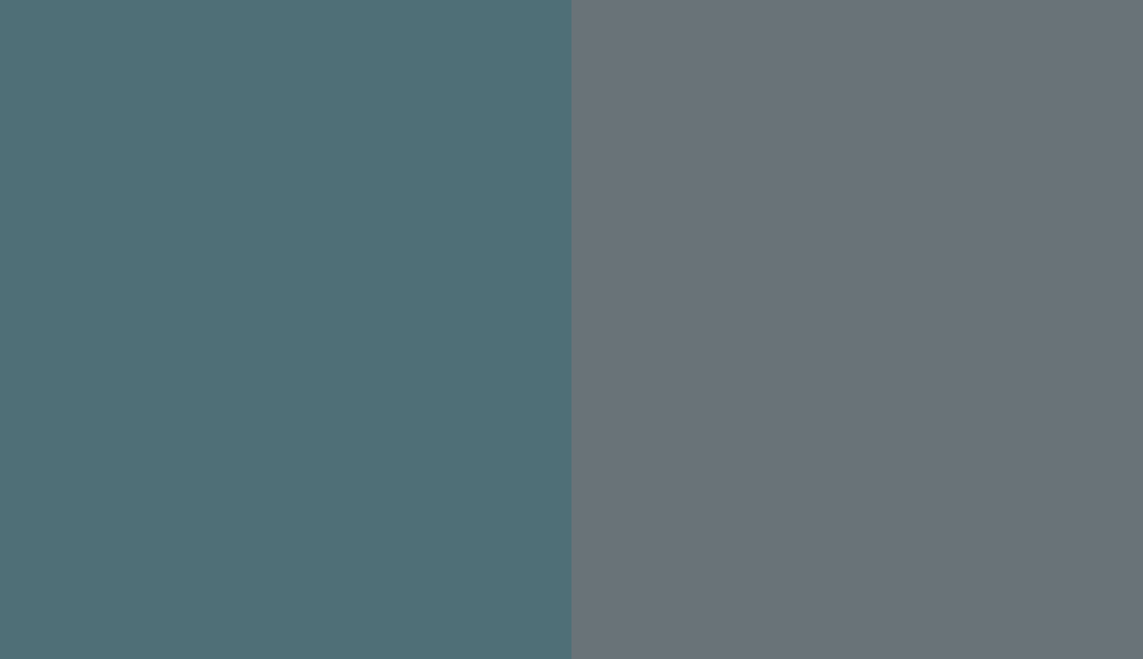 HEX #4F6F77 to RAL 7031