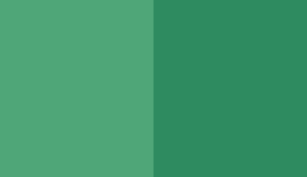 HEX #4FA678 to RAL 6024