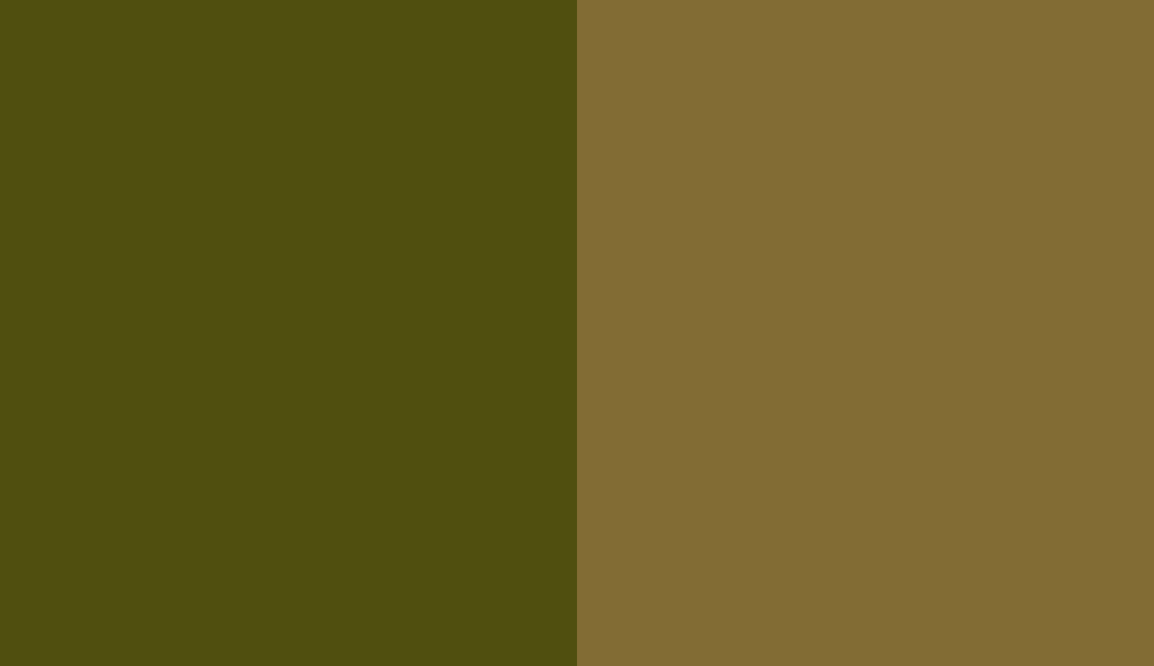 HEX #504F0F to RAL 8000 HEX #504F0F to RAL 8000