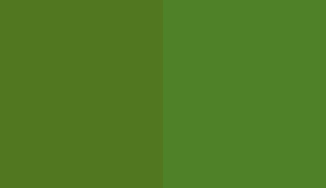 HEX #517820 to RAL 130 50 50
