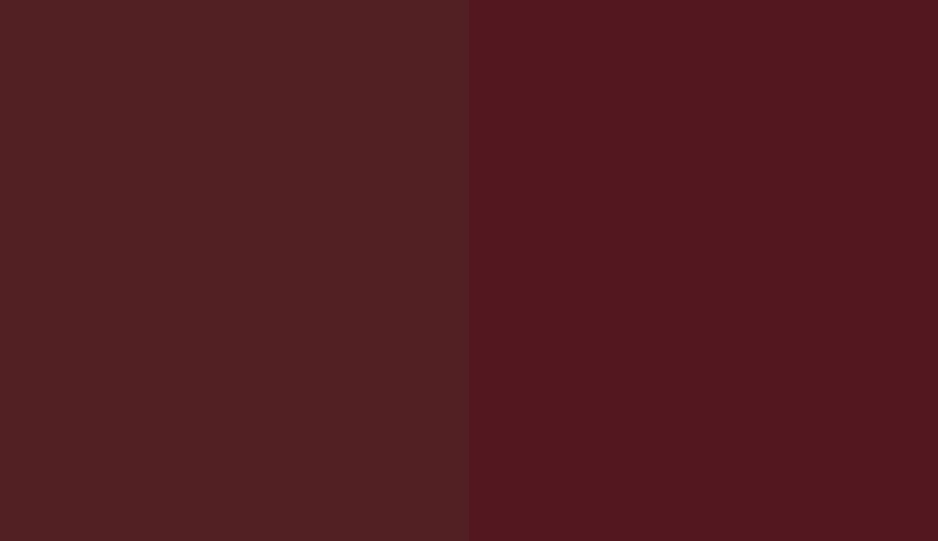 HEX #521F23 to RAL 020 20 29