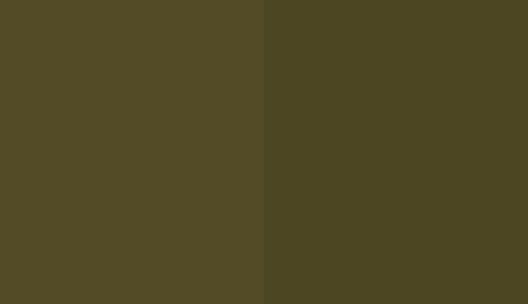 HEX #524B26 to RAL 100 30 20