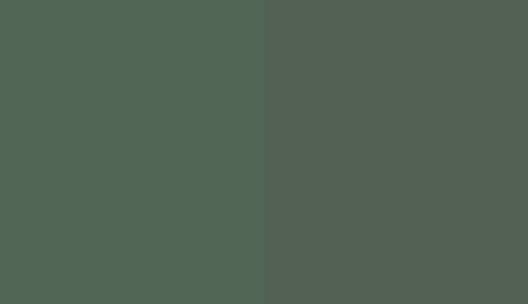 HEX #526656 to RAL 150 40 10 HEX #526656 to RAL 150 40 10