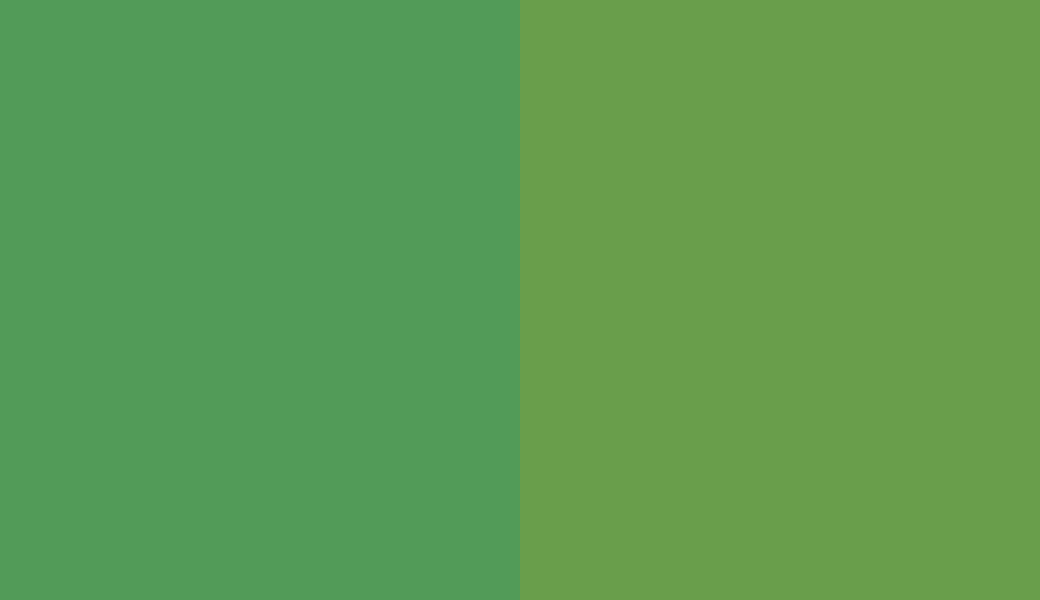 HEX #529B58 to RAL 6018