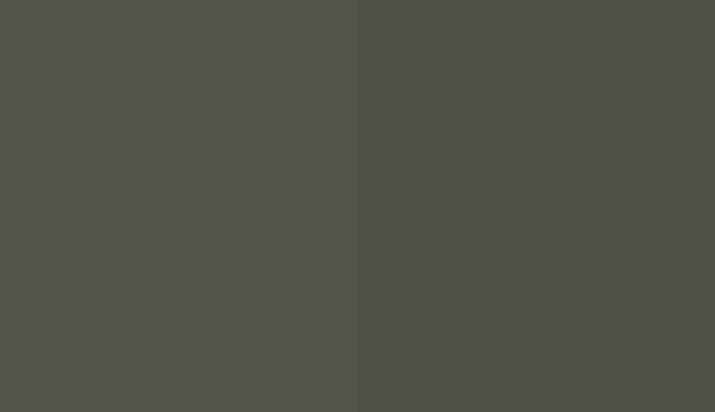 HEX #53544B to RAL 6006 HEX #53544B to RAL 6006