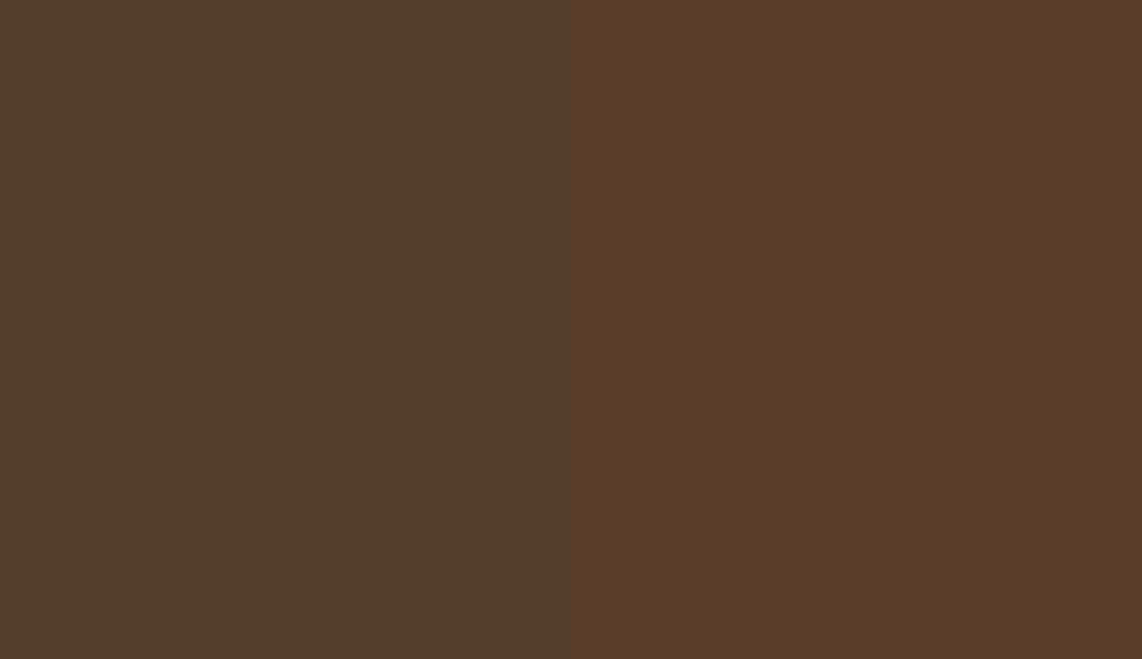 HEX #543E2C to RAL 060 30 20 HEX #543E2C to RAL 060 30 20