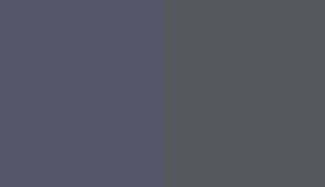 HEX #555568 to RAL 7024