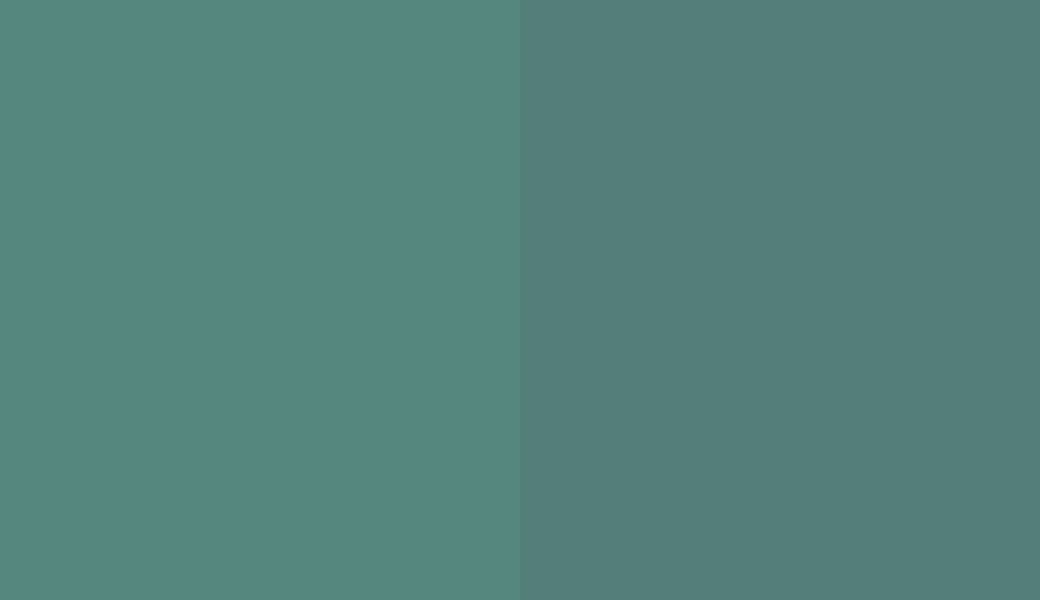 HEX #56877E to RAL 190 50 15 HEX #56877E to RAL 190 50 15