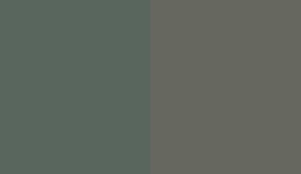 HEX #59655C to RAL 7009